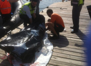  بالصور: وحدة الغواصة تنتشل جثة غريق ثالث حصيلة أحداث الغرق